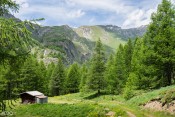 Clairière près des Bertins
