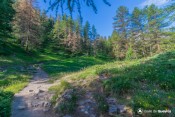 clairiere sortie collet peillane