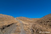 col estronques en vue