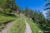 collet peillane en vue