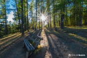 coucher de soleil belvederes sur banc