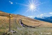 cougnets sous le soleil