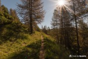 coulee verte vers vallon peas