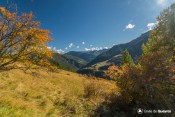 couleurs automne depuis sentier lac de roue