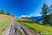 couleurs automne sur route pastorale