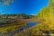 couleurs rousses sur berges lac de roue