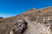 cretes rasis sous col estronques