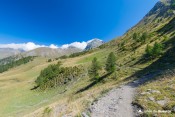dans la montee vers la collette