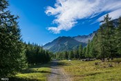 dans les sous bois sentier clausis
