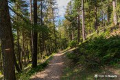 de belles singles de descente vtt