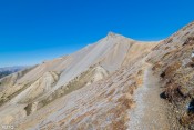 de plus en plus mineral