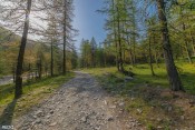 depart a la lisiere du bois de la lavine