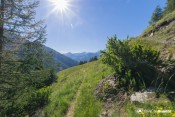 depart sentier varensc
