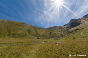depuis le plateau du col de malaure