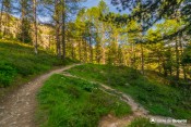 dernier virage avant poste panoramique