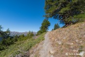 derniers melezes depuis sentier gr58 cretes peyra plata gilly
