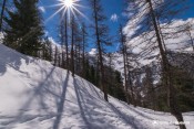 descente dans les bois curlet