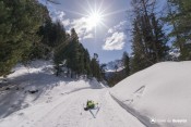 descente en foret