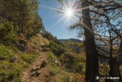 en route pour cuche sous le soleil