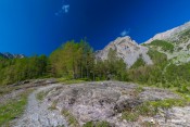 entree en foret furfande