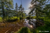 etang moussou sous rayons soleil