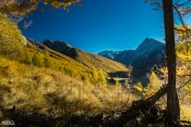 Fenêtre dorée sur le Haut Guil