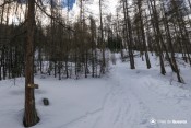 flechage curlet neige bois moulin