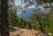 fort queyras sous melezes