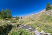 fraicheur torrent urine bergerie sous roche
