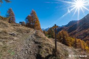 GR58 bifurcation touret ceillac