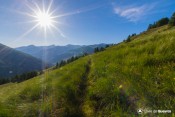 greenpath to sun