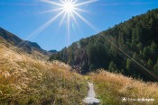 herbes hautes vallon saint martin