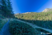 heure bleue en lisiere