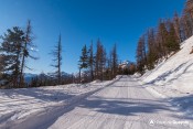 itineraire nordique izoard skieurs skating en foret