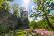 jardin maison nature guillestre tulipes