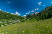 la chalp et prairies vertes