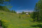 la chapelle a la sortie foret saint simon belle clairiere