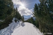 la font sancte se decouvre