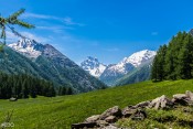 Le chalet de la Médille face au Mont Viso