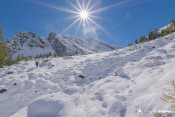 la neige se fait plus consequente