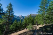 la taillente depuis bois chatellard gr58 cretes peyra plata gilly