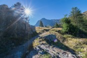 la vallon urine se decouvre
