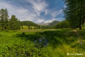 lac de roue debut ete couleurs vertes