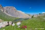 lac du lauzon derriere rhododendrons
