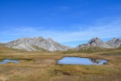 Tourbière du Lac Marion