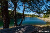 lac peyrol table pique nique meleze