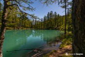 lac pre du laux branches berge