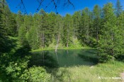 lac zoe entoure de melezes