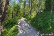 large sentier progressif chaurionde