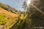 le bric bouchet se devoile depuis sentier